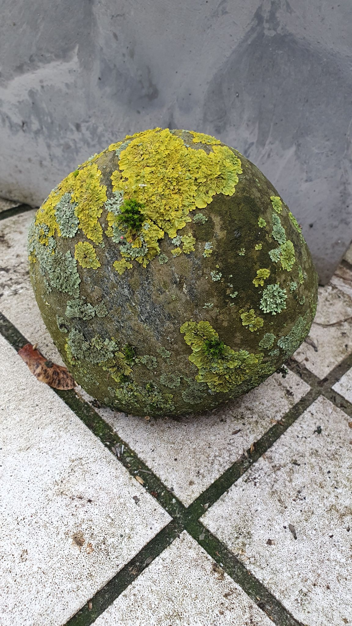 20251107 111408