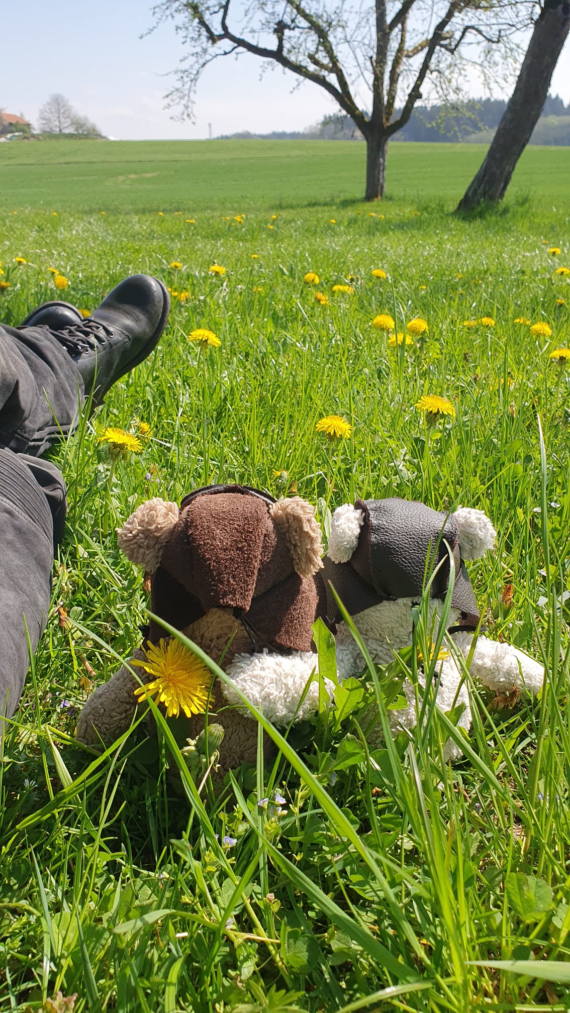 IMG 20250417 WA0005(1)