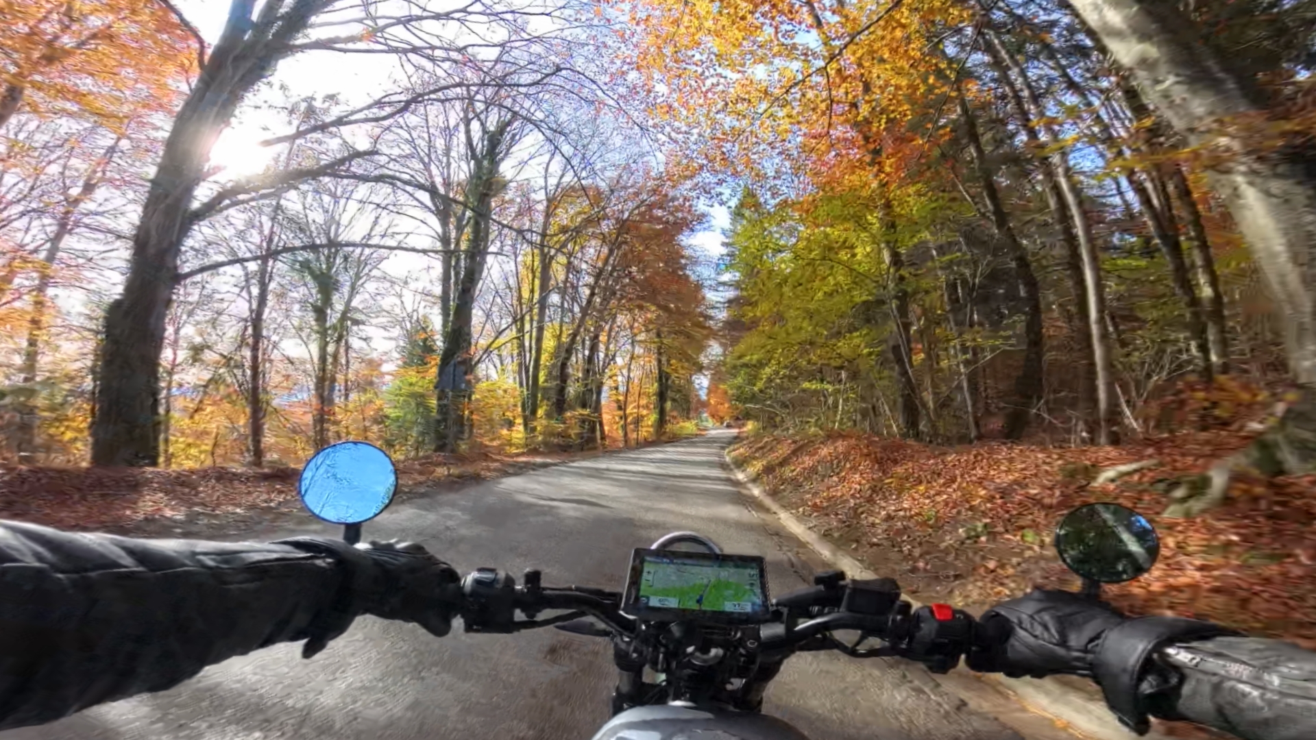 PRO VID 20251101 124027 00 006 2025 11 01 18 16 21 screenshot