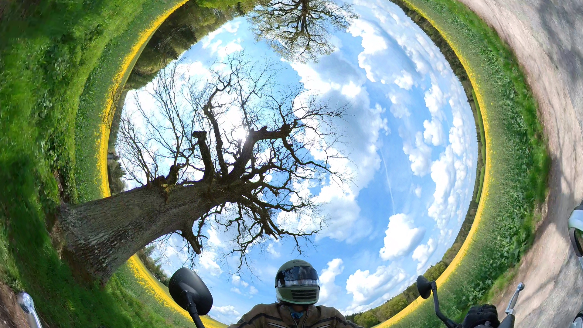 VID 20230329 203703 00 002 2023 05 05 17 55 04 screenshot