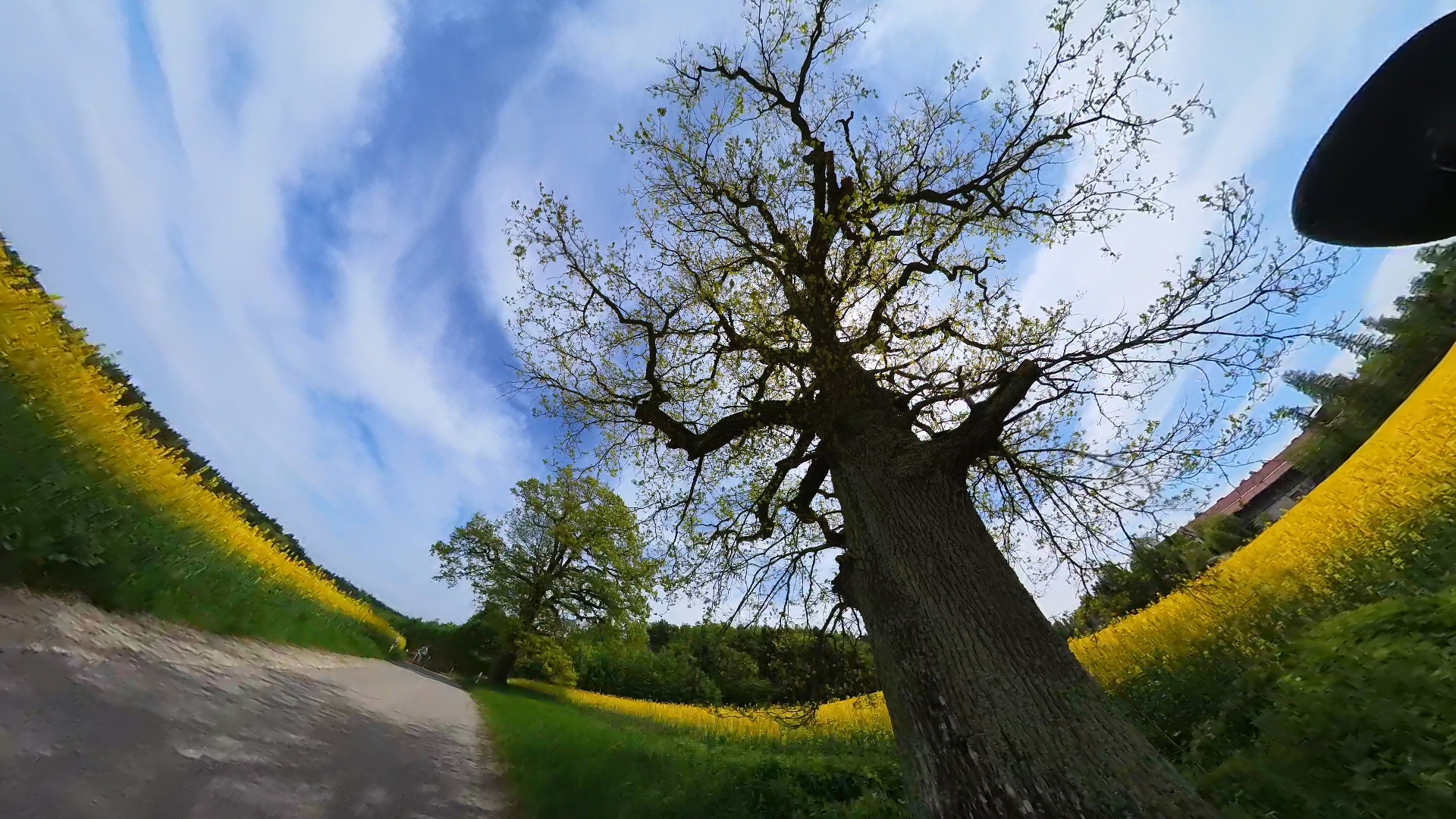 VID 20230520 131626 00 002 2023 05 20 18 29 49 screenshot