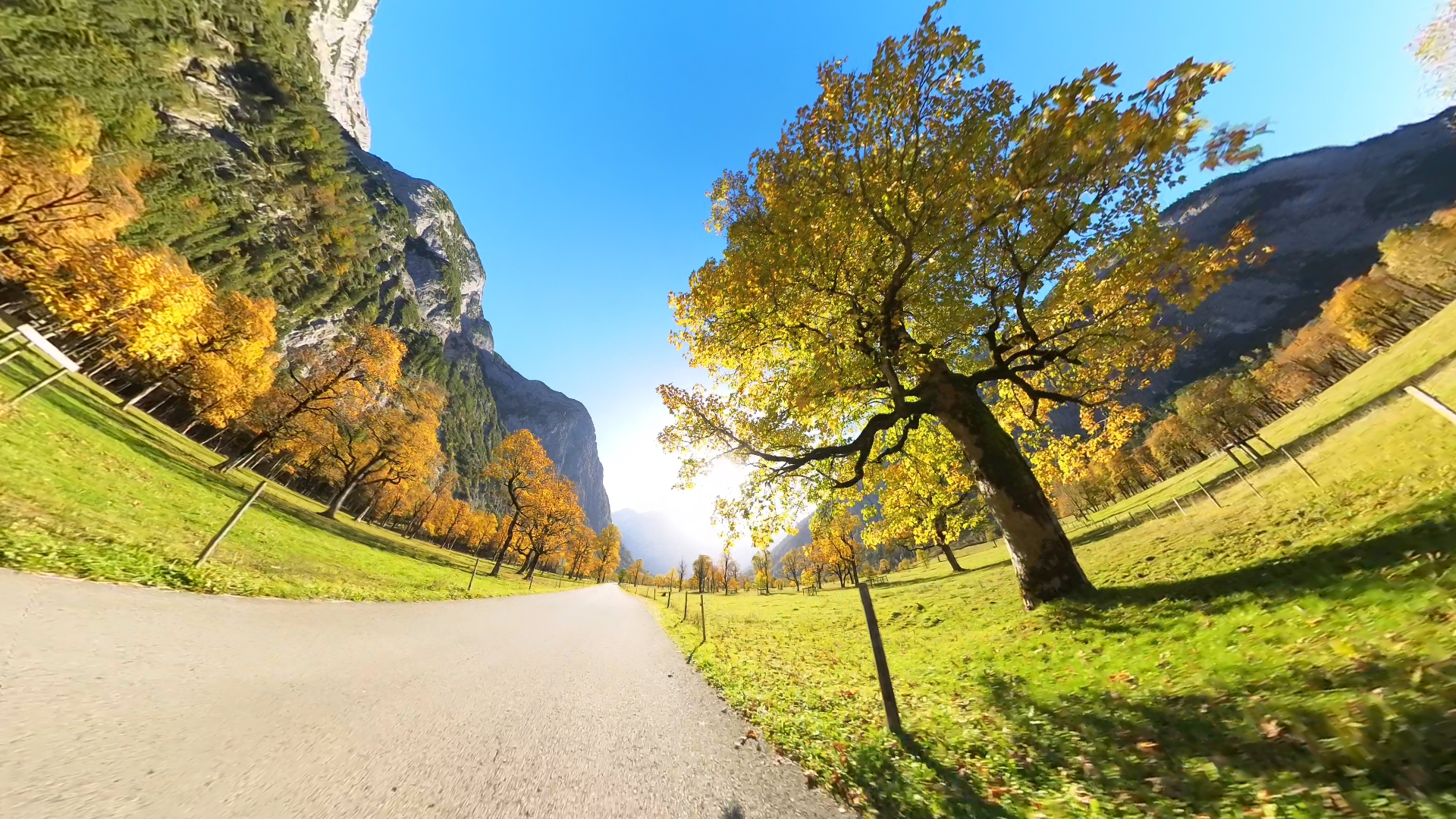 VID 20231011 152639 00 001 2023 10 11 20 40 16 screenshot