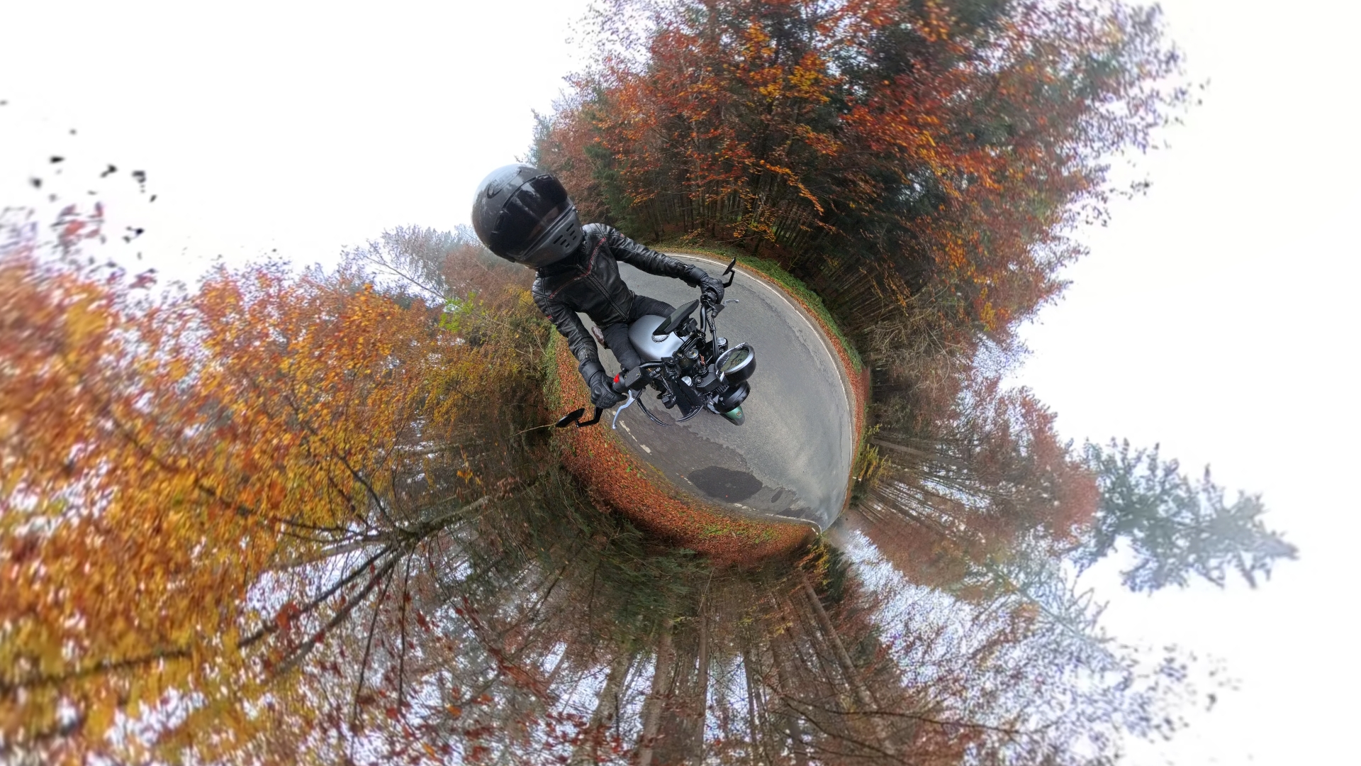 VID 20241026 125356 00 001 2024 10 26 20 06 31 screenshot